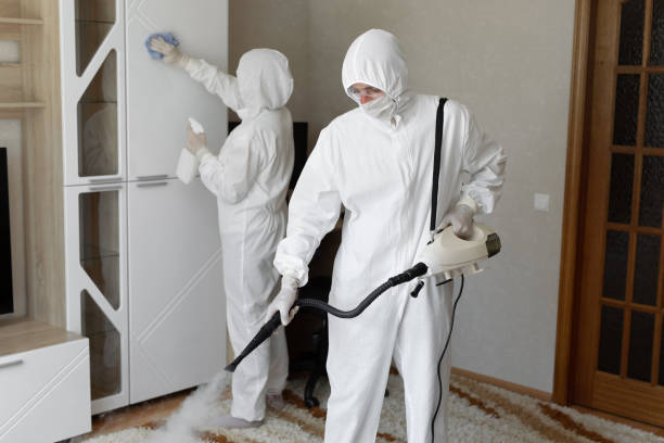 Mold Removal for HVAC Installations in South Barrington, IL